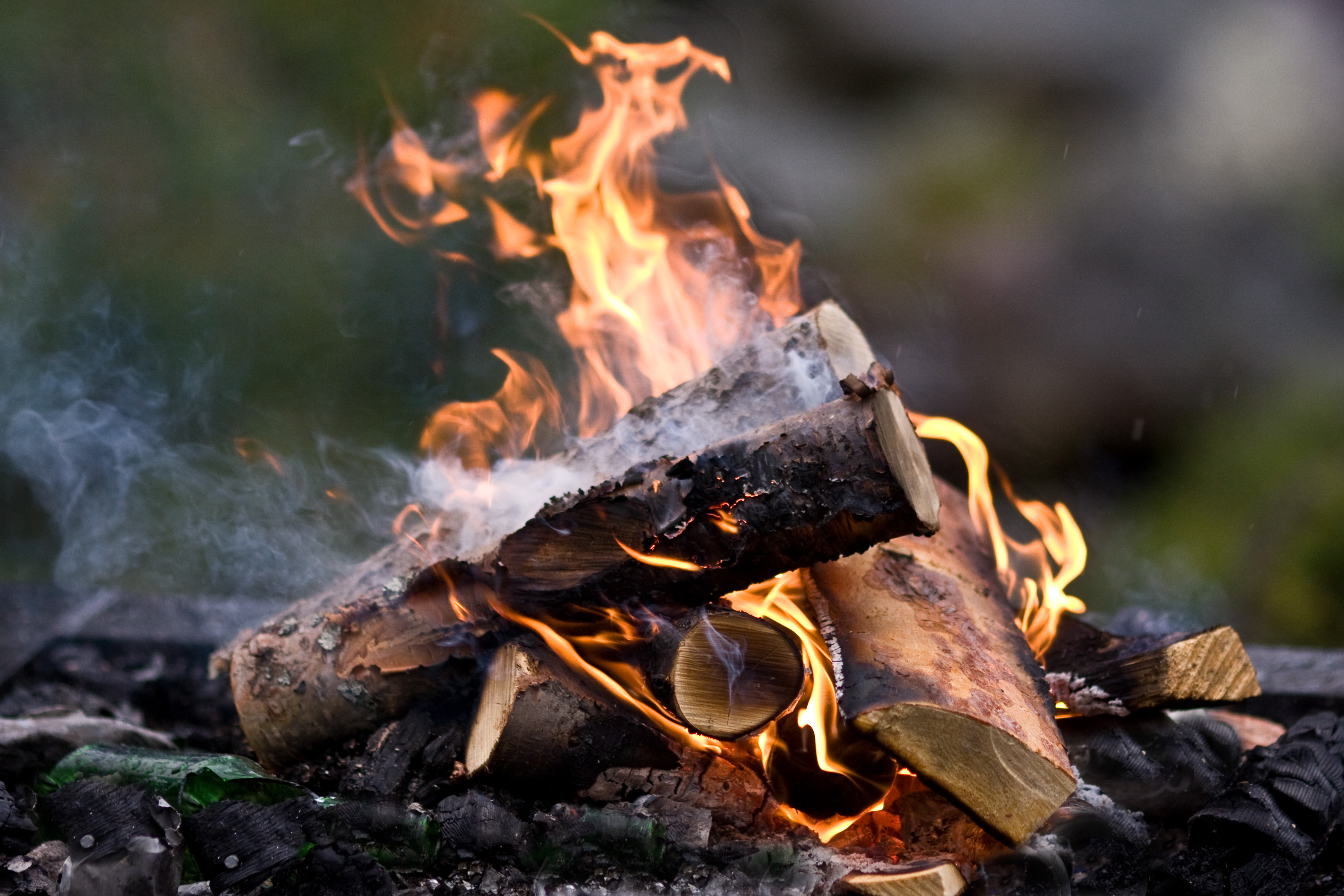 Undvik all eldning i skog och mark