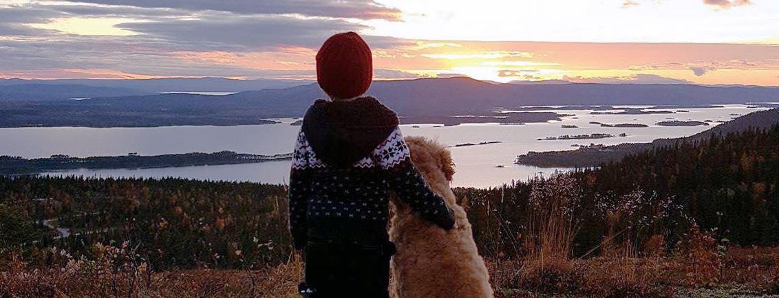 Ett barn står med armen om sin hund, på toppen av ett berg, och blickar ut över en sjö.