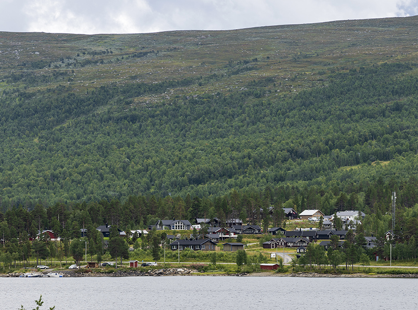 En bild på Jäckvik och skogen på Pieljekaise bakom, fotad från vattenfronten.