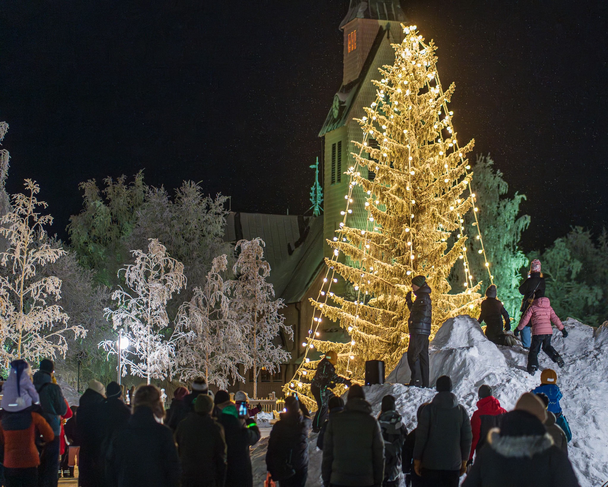 En upplyst julgran på ett torg med en folkmassa framför. Foto: Johan Fjellström