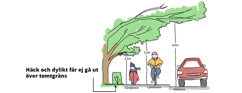 En illustration som visar att häckar och träd inte får hänga ut över vägen.