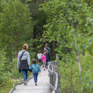Personer som går längs spångarna.