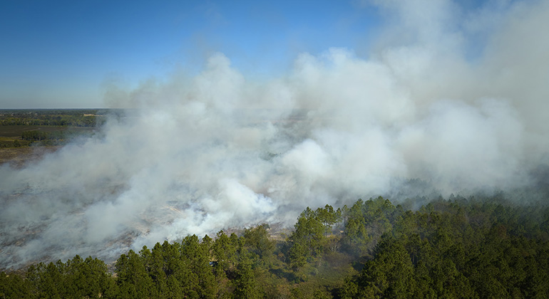 En bild på en skogsbrand. Foto: Mostphotos