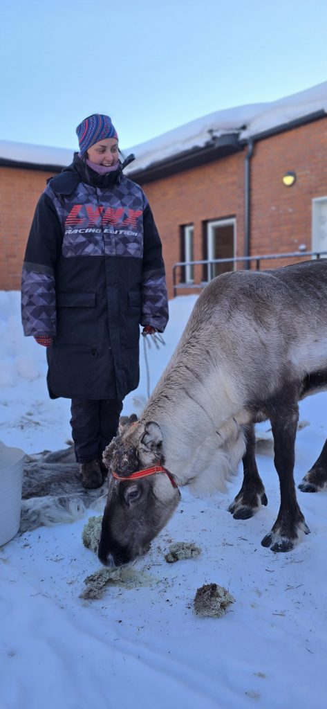 En ren med sin skötare utanför äldreboendet.