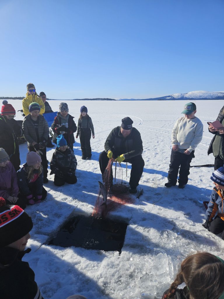 Johan Sundström vittjar nät med barn från klass 3 som tittar på, ute på isen.
