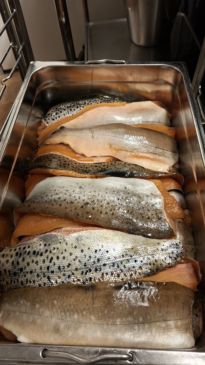 Rensad fisk i metallbleck.